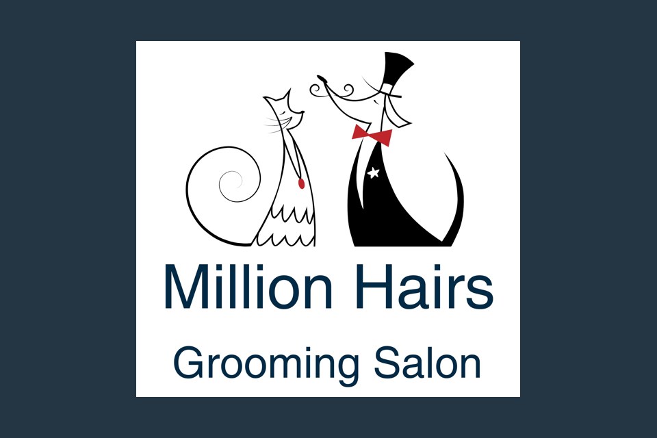 Million Hairs